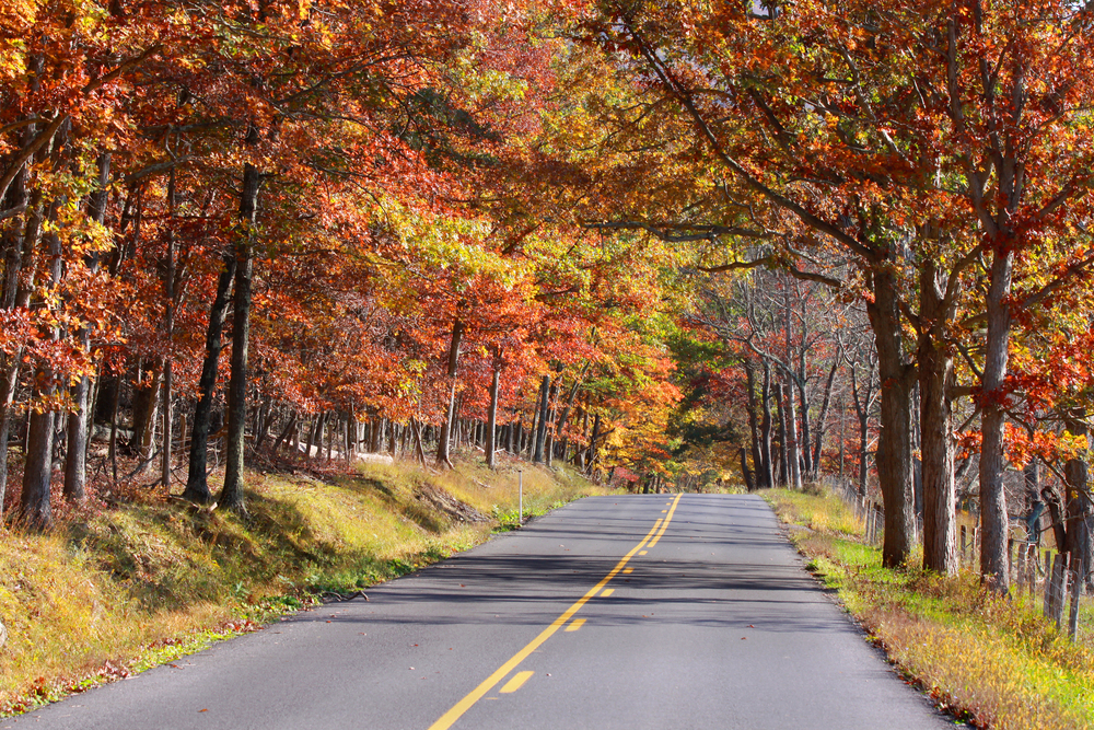 October: Fall Car Care Month – Prepare Your Vehicle for a Safe Winter